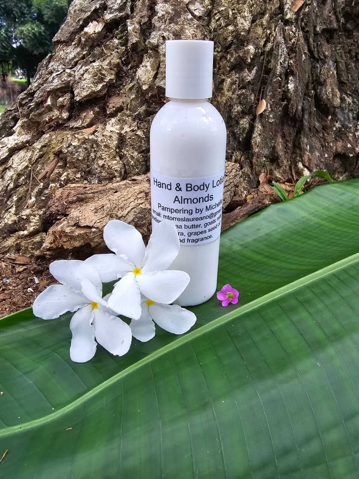 Hand & Body Lotion - Almonds